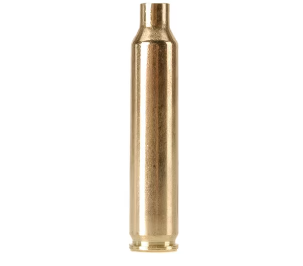 Buy Dogtown Brass 204 Ruger